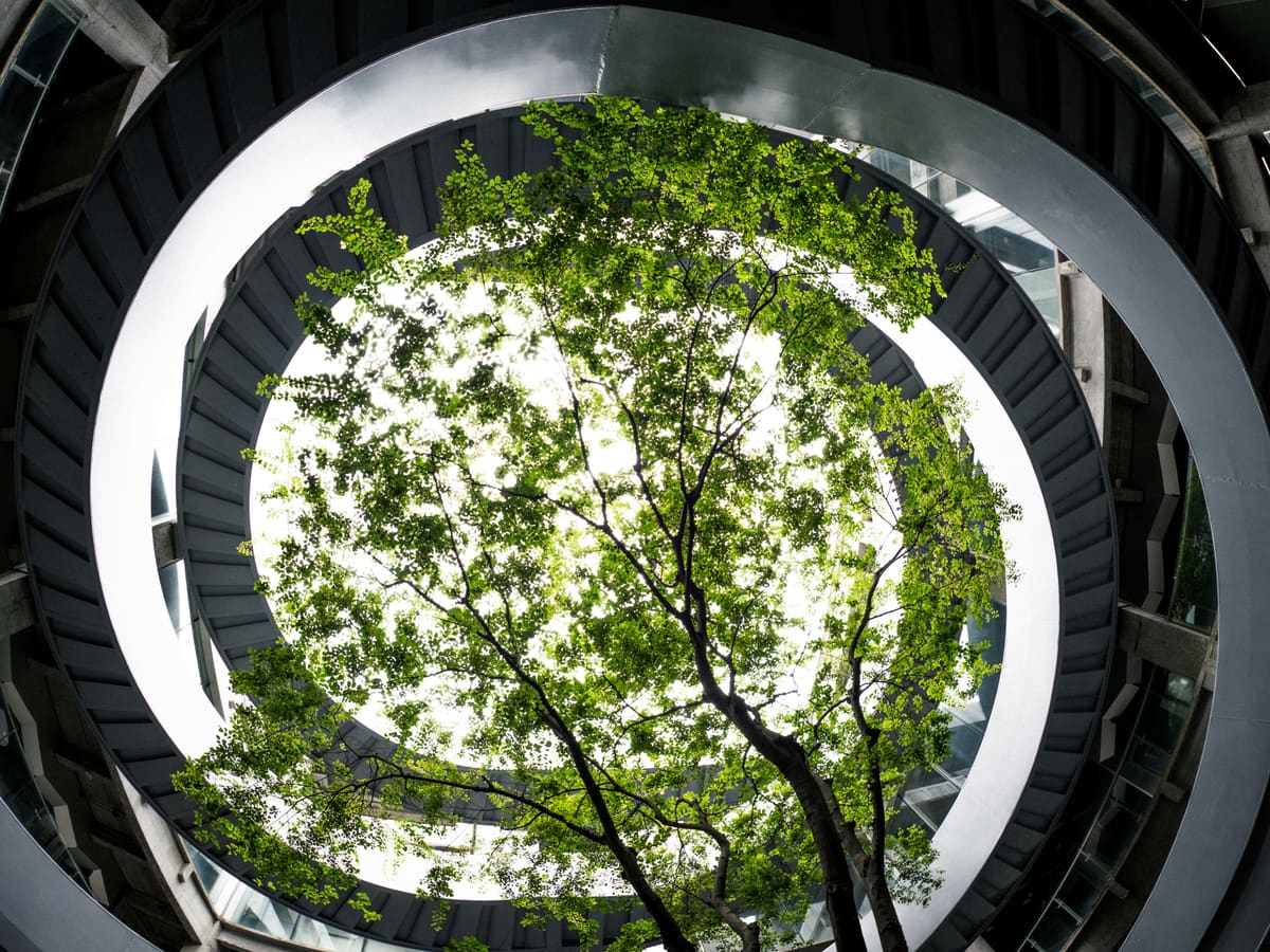 Looking up through a spiralling concrete stair to a single tree and open sky.