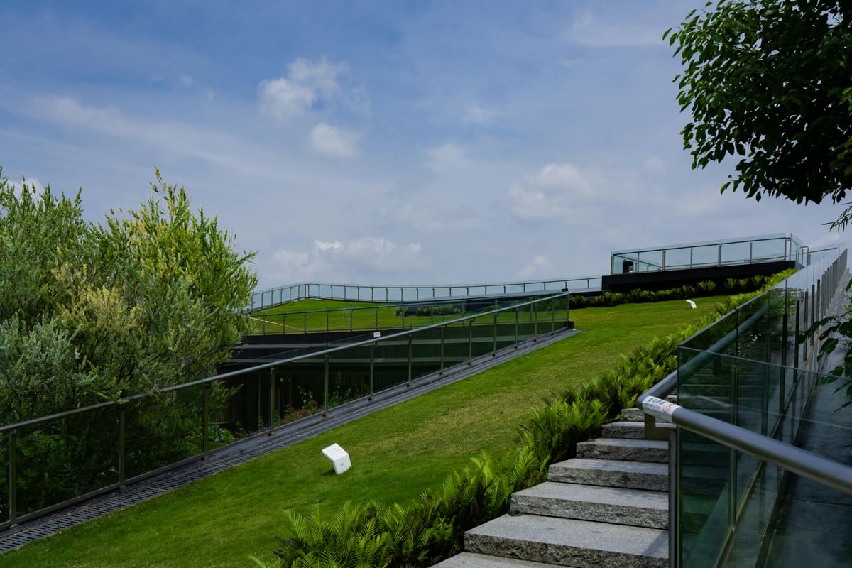 A wide planted green roof with a stepped path meeting the sky.